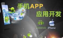 手機(jī)app開(kāi)發(fā)11大步驟、技術(shù)人員、常用接口