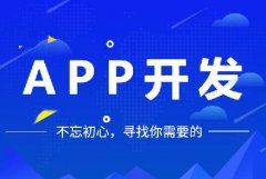 開發(fā)一個(gè)app多少錢？