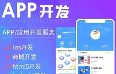 APP軟件開發(fā)公司哪家好？
