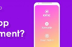 為什么要定制APP開發(fā)，APP開發(fā)定制的好處？