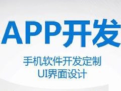 APP軟件開(kāi)發(fā)工具-PWA